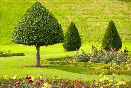 0-title-image